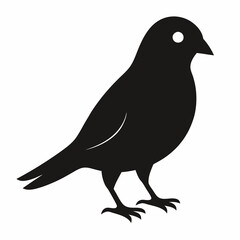 Graceful Canary Silhouette in Vector