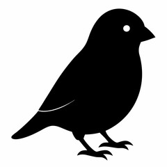Graceful Canary Silhouette in Vector