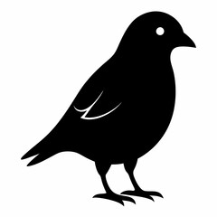 Graceful Canary Silhouette in Vector