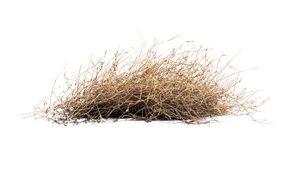 Isolated Desert Tumbleweed on White Background - Professional Stock Photo