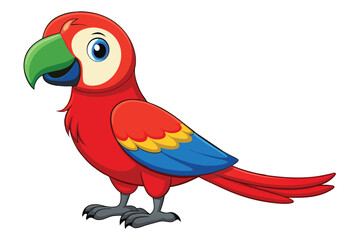 Colorful Red Macaw bird on white background.