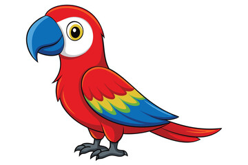 Colorful Red Macaw bird on white background.