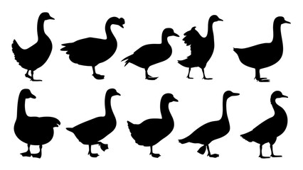 set of duck silhouette vector on tranparent background