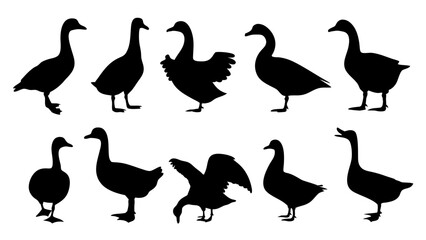 set of duck silhouette vector on tranparent background