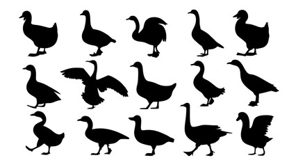 set of duck silhouette vector on tranparent background © Rani