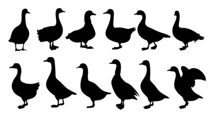 set of duck silhouette vector on tranparent background
