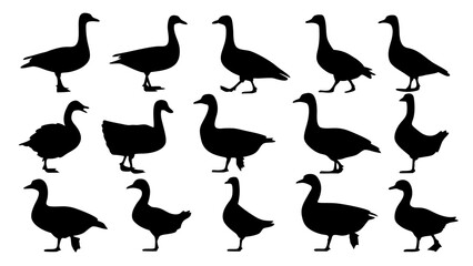 set of duck silhouette vector on tranparent background