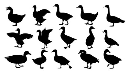 set of duck silhouette vector on tranparent background