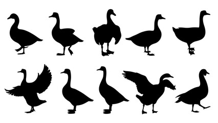 set of duck silhouette vector on tranparent background