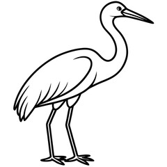 Graceful Stork Line Drawing