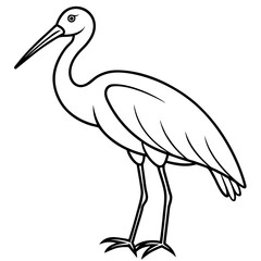 Graceful Stork Line Drawing