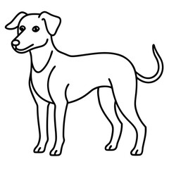 Minimal Dog Outline Graphic