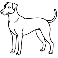 Minimal Dog Outline Graphic