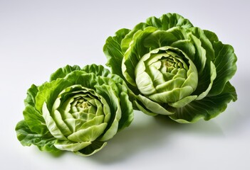 Fototapeta premium Two green cabbage heads on a white surface