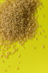 ARROZ (Oryza Sativa)