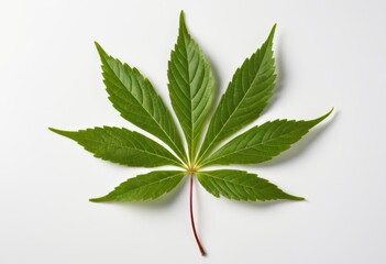 The white surface has a red arbor stem