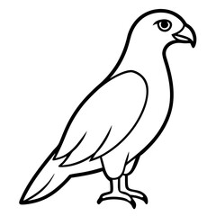 Modern Hawk Line Art for Vector Design