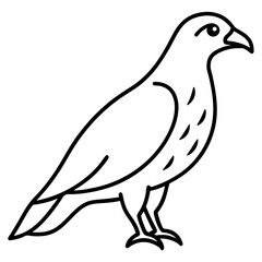 Modern Hawk Line Art for Vector Design