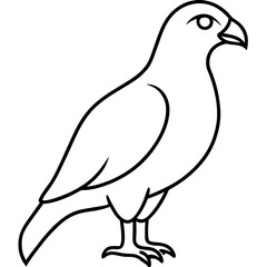 Modern Hawk Line Art for Vector Design