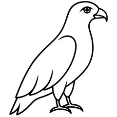 Modern Hawk Line Art for Vector Design