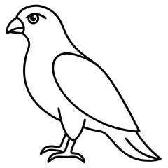 Modern Hawk Line Art for Vector Design