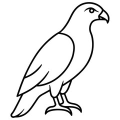 Modern Hawk Line Art for Vector Design