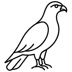 Modern Hawk Line Art for Vector Design