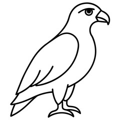Modern Hawk Line Art for Vector Design
