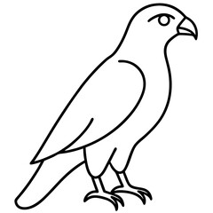 Modern Hawk Line Art for Vector Design