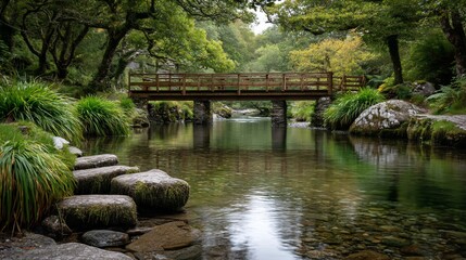Naklejka premium Serene woodland scene bridge over tranquil stream