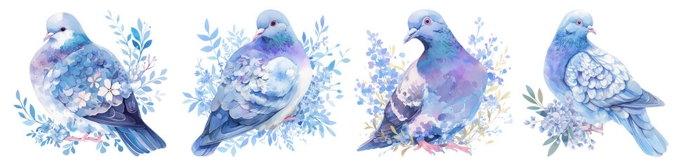 PNG Elegant watercolor pigeon illustrations, element set on transparent background