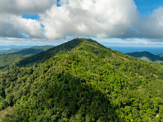 High angle view mountains rainforest trees nature background