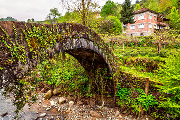 historical stone bridge built over the stream