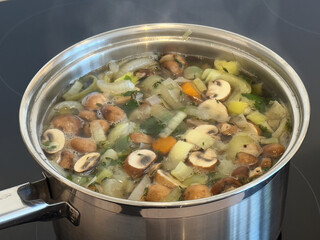 Feshly made soup with chicken and vegetables