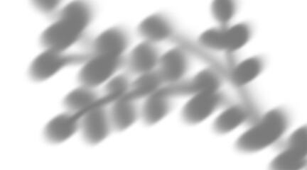 Realistic shadow overlay effect png, natural oval leaf shadows isolated on transparent background