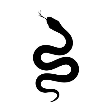 **"Sinuous Silence: A Minimalist Black Silhouette of a Serpent in Bold Monochrome, Embracing Negative Space and Sleek, Continuous Line Design"**  

Would you like a shorter version for logo or brandin