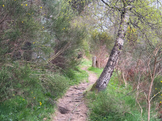 Walking footpath in countryside by the River Dee
