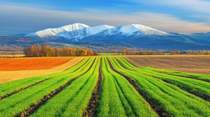 Scenic Farmland with Snow-capped Mountains and Autumnal Trees Landscape