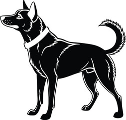 A black dog with white collar standing in profile with tail up and alert expression vector art