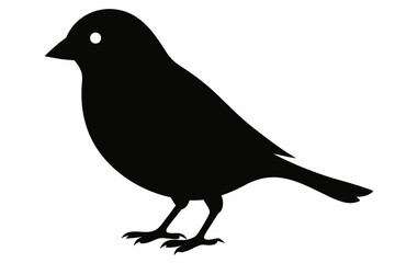 canary sihouette black vector