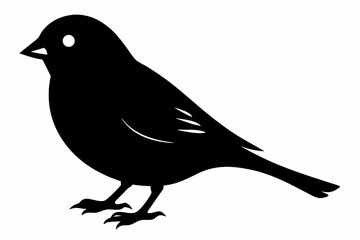 canary sihouette black vector