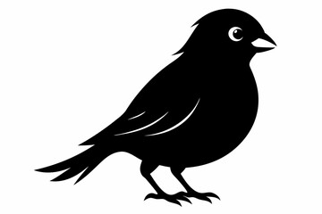 canary sihouette black vector