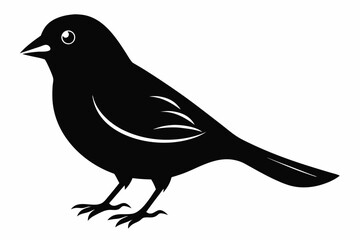 canary sihouette black vector