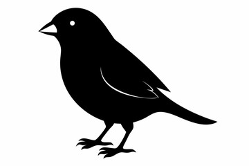 canary sihouette black vector