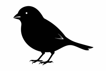 canary sihouette black vector