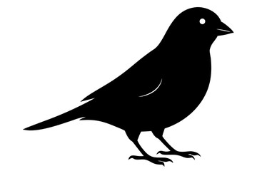 Fototapeta premium canary sihouette black vector