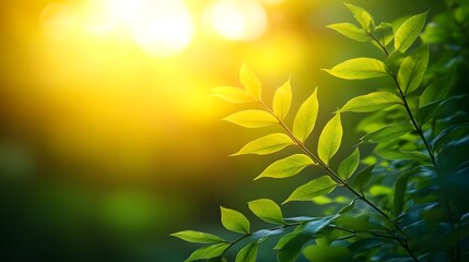 Bright Green Nature Background with Blurred Foliage and Sunlight