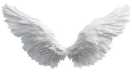 Obraz premium Elegant white angel wings in soft detail.
