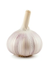 Close-up of Fresh Garlic Bulb Isolated on White Background