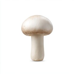 Fototapeta premium Single mushroom close up isolated on white background